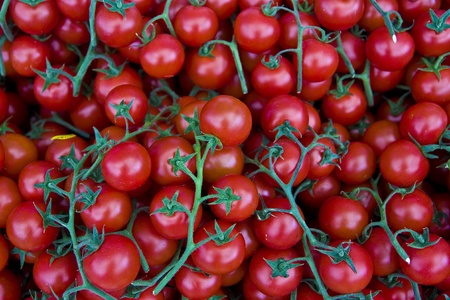 fresh cherry tomatoesの写真素材