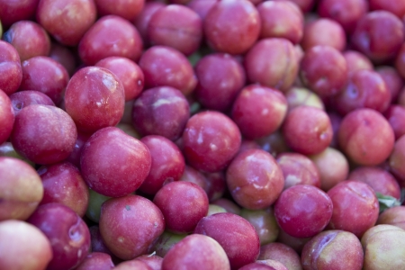 red plums with shallow depth of fieldの写真素材