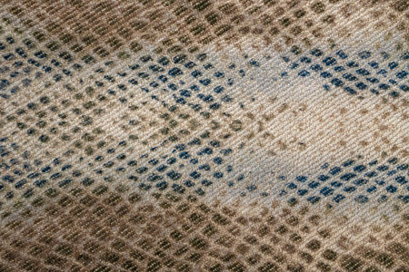 Reptile skin imitation, textured backgroundの写真素材
