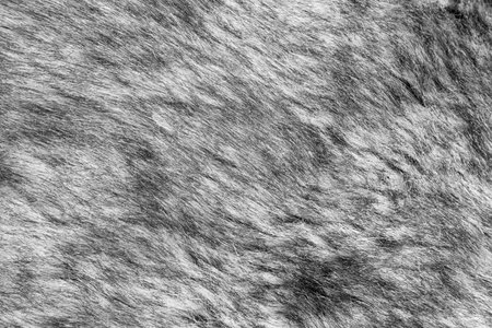 Black and white animal fur, textured background
