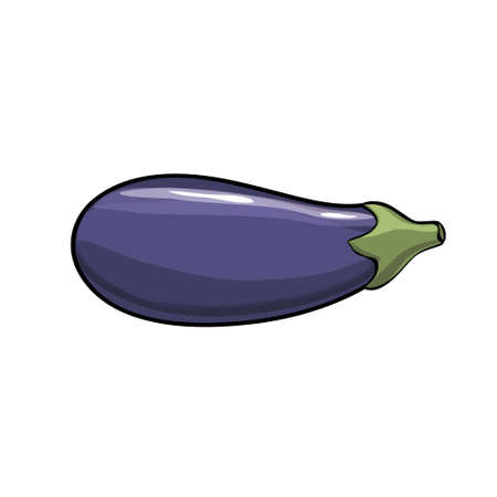 Eggplant Isolated  on a white backgroundのイラスト素材