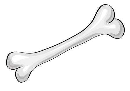 bone isolated on a white background. Vector Illustration