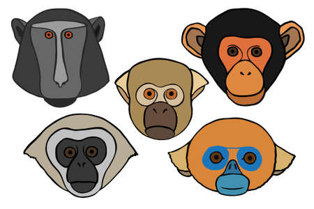 Vector Ornate Monkey Head. Symbol of the Year 2016 by Chinese Horoscope