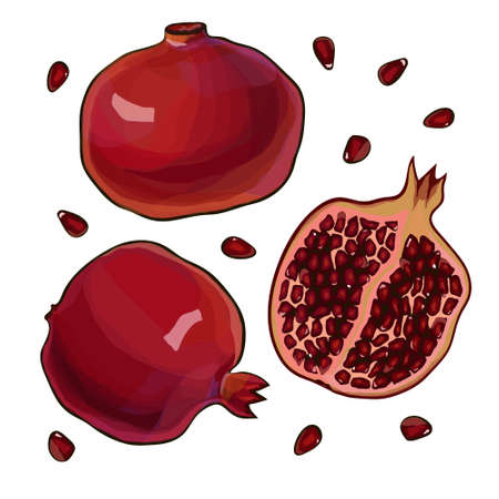 Whole and cut pomegranate icon set. Flat cartoon vector illustration.のイラスト素材