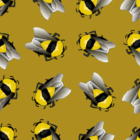 Bee pattern background. seamless pattern, funny bumblebeesの写真素材