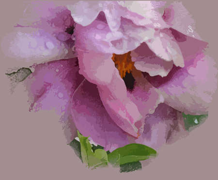drawing, watercolor pink peony, for polligrafii or bannersのイラスト素材
