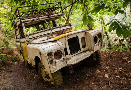 An ATV lost in the woodsの写真素材