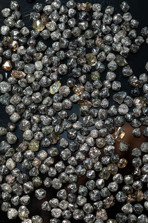 Natural Rough diamonds on black background sorted by size and shapes . High quality photoNatural
