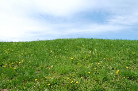 Meadowの写真素材