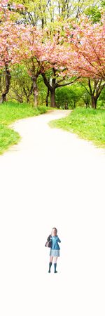 Girl with cherry blossom bannerの写真素材