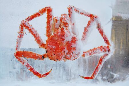 Crabs in iceの写真素材