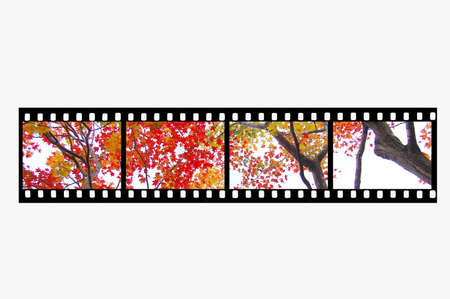 Autumnの写真素材