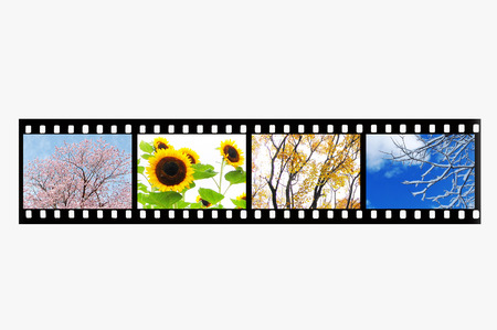 The four seasonsの写真素材