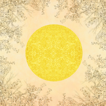 Full moonの写真素材