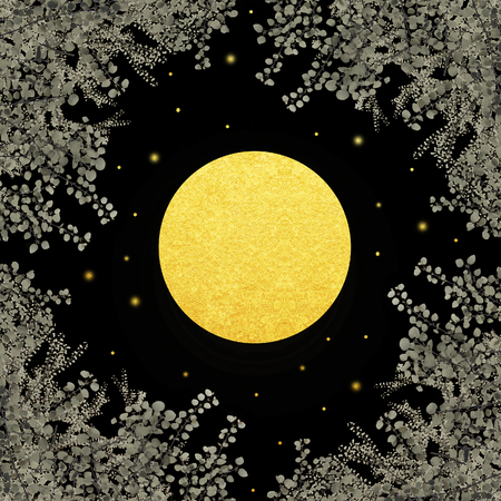 Full moon and plantsの写真素材