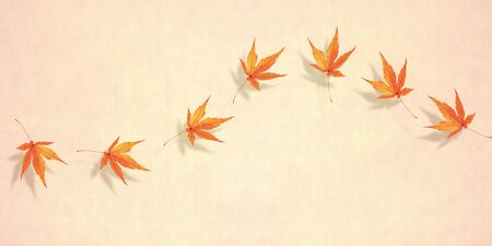 Autumnの写真素材