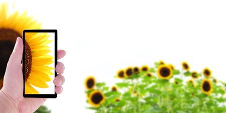 Smart phoneの写真素材