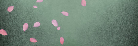 Sakura petals fall to the floor. The background is green.の写真素材