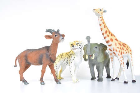 plastic various animals on a white backgroundの写真素材