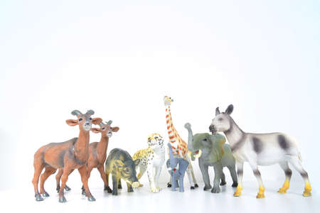various plastic miniature animals on a white backgroundの写真素材
