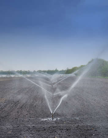 watering crops at the fieldの写真素材