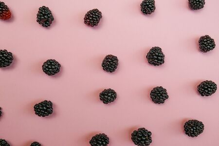 Fresh blackberry on a pink background. Top viewの写真素材