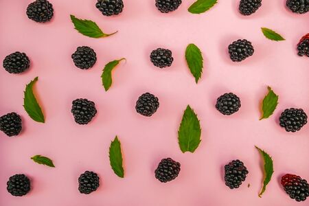 Fresh blackberry and green leaves on a pink background. Top viewの写真素材