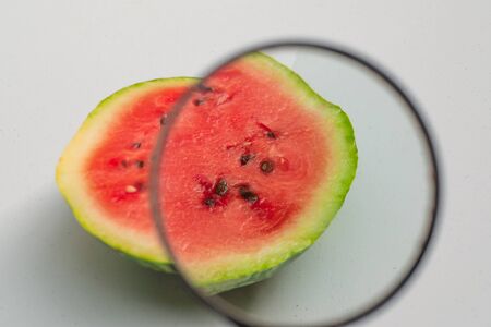 study of a magnifying glass of watermelon   close up