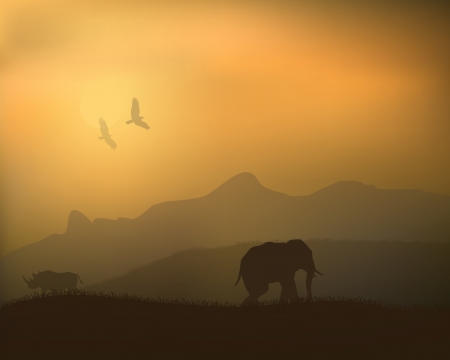 Elephants Rhinos in the wildのイラスト素材