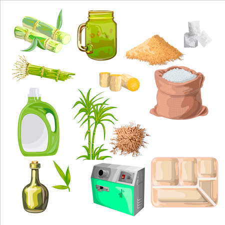 Collection of Bamboo trees . Can be used to illustrate any nature or healthy lifestyle topic.のイラスト素材