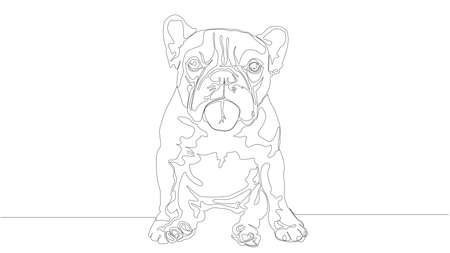 Linear illustration of cute bulldog single lineのイラスト素材