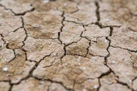 Dry cracked earth background, clay desert texture
