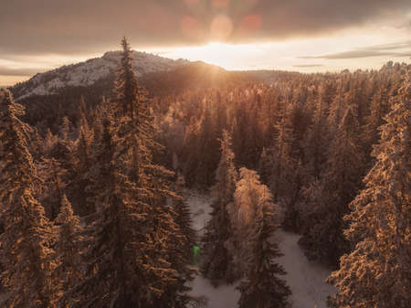 Sun rays in winter forest.の写真素材