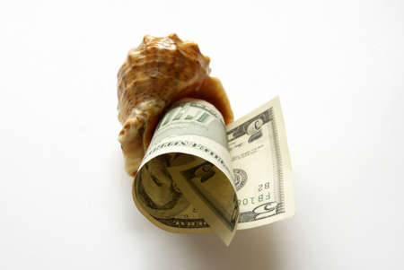 Sea bowl in which it is inserted five dollars on white.の写真素材