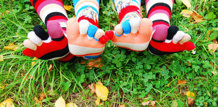 Socks in autumn.の写真素材