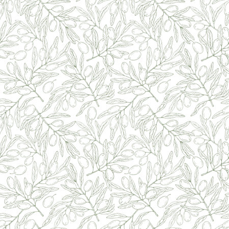 Seamless vector pattern with botanical olive branch with olives and leaves on a white background. Green line illustration for decoration and design fabrics, textiles, souvenirsのイラスト素材