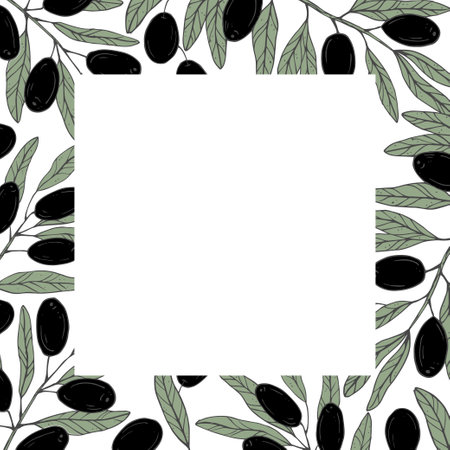 Graphics vector botanical black and green frame with olives and leaves. Olive branch with olives and leavesのイラスト素材