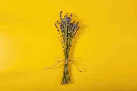 a bunch of lavender flowers tied to a yellow wallの素材