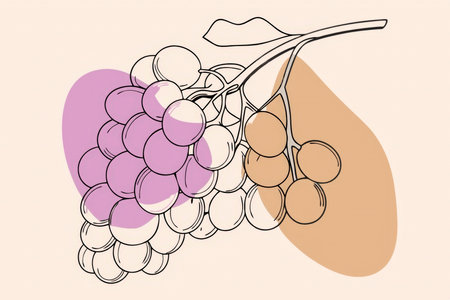 a drawing of grapes and a grapeの素材