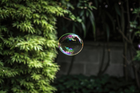 Soap bubbles in the garden with natural background. Shallow depth of field.の素材