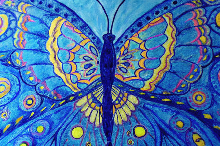 Close up of colorful butterfly wing texture background. Great for fabric and textile design.の素材