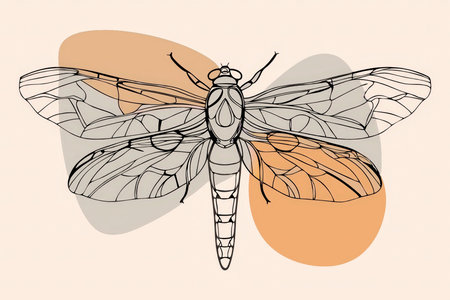 Dragonfly vector illustration. Hand drawn sketch of a dragonfly.の素材