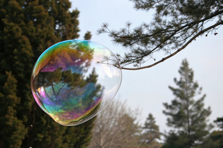 Soap bubble in the park, closeup of photo with shallow depth of fieldの素材