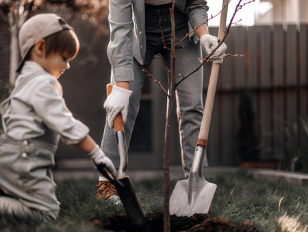 Cute little girl planting a tree with her father in the gardenの素材
