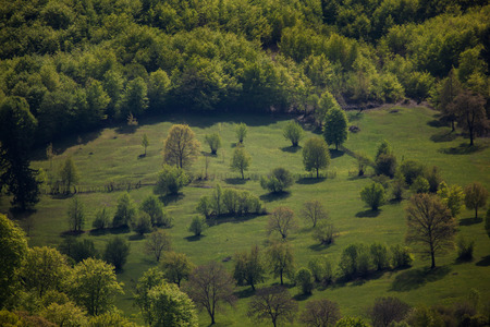 Romania, Transylvania. Nature in the country, meadow and forest edge.の写真素材