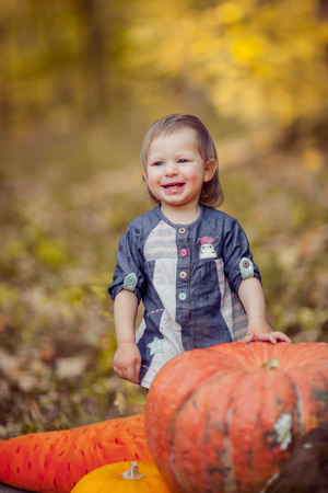 Autumn harvest of pumpkins and a little girl, cute portrait on nature, family vacation.の写真素材