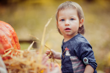 Portrait of a Girl 2 years old, blue eyes, blond hair, playing with a straw. She stands next to an orange pumpkin.の写真素材