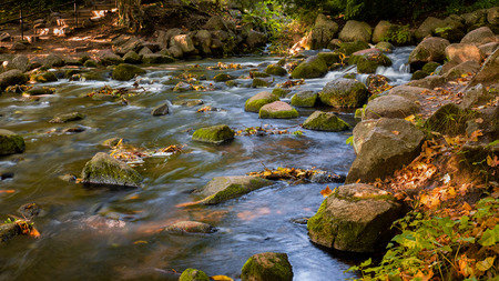 Water stream with stones in the park.の写真素材