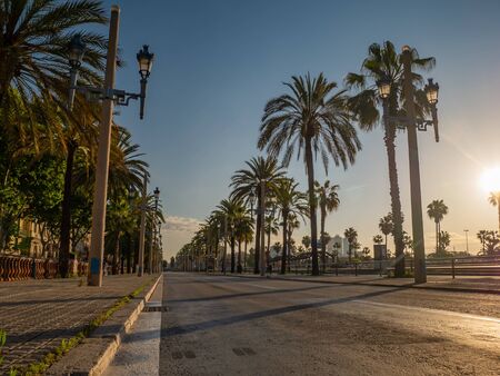 Sunrise at Port Vell promenade location with palm trees. Streets of Barcelona, Spainの写真素材
