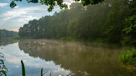 Summer forest reflected in the lake after the storm.